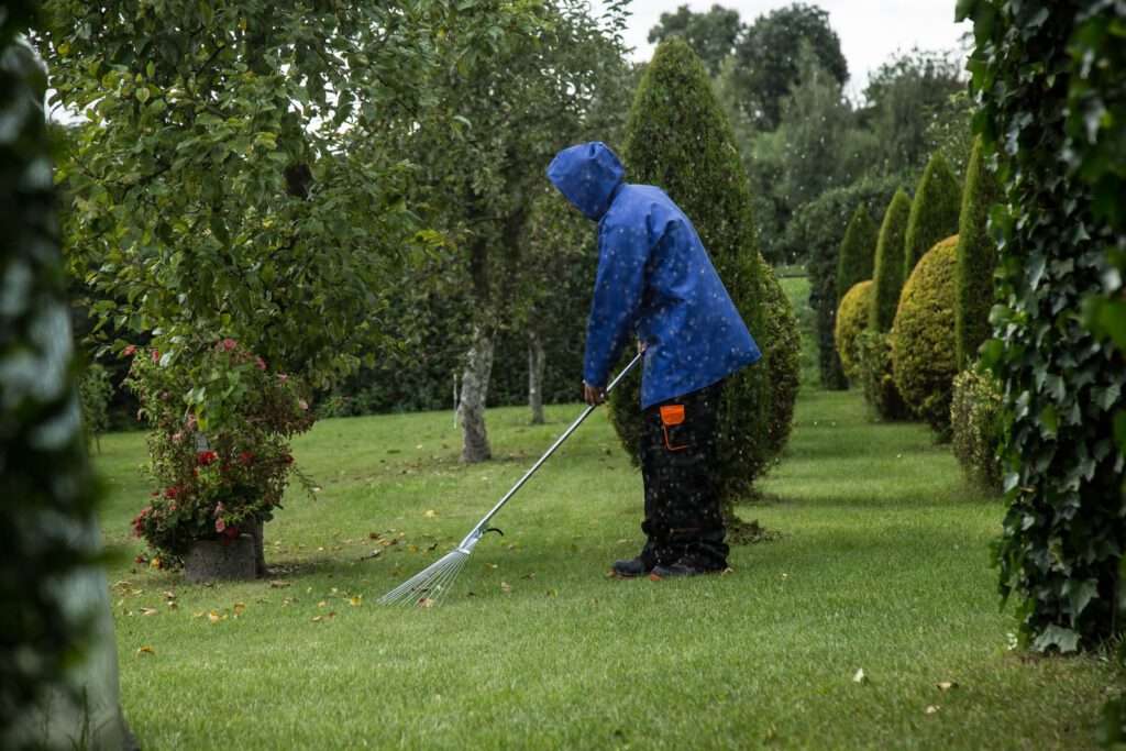Mitarbeiter in Arbeitskleidung harkt bei Regen Laub auf einer gepflegten Rasenflaeche